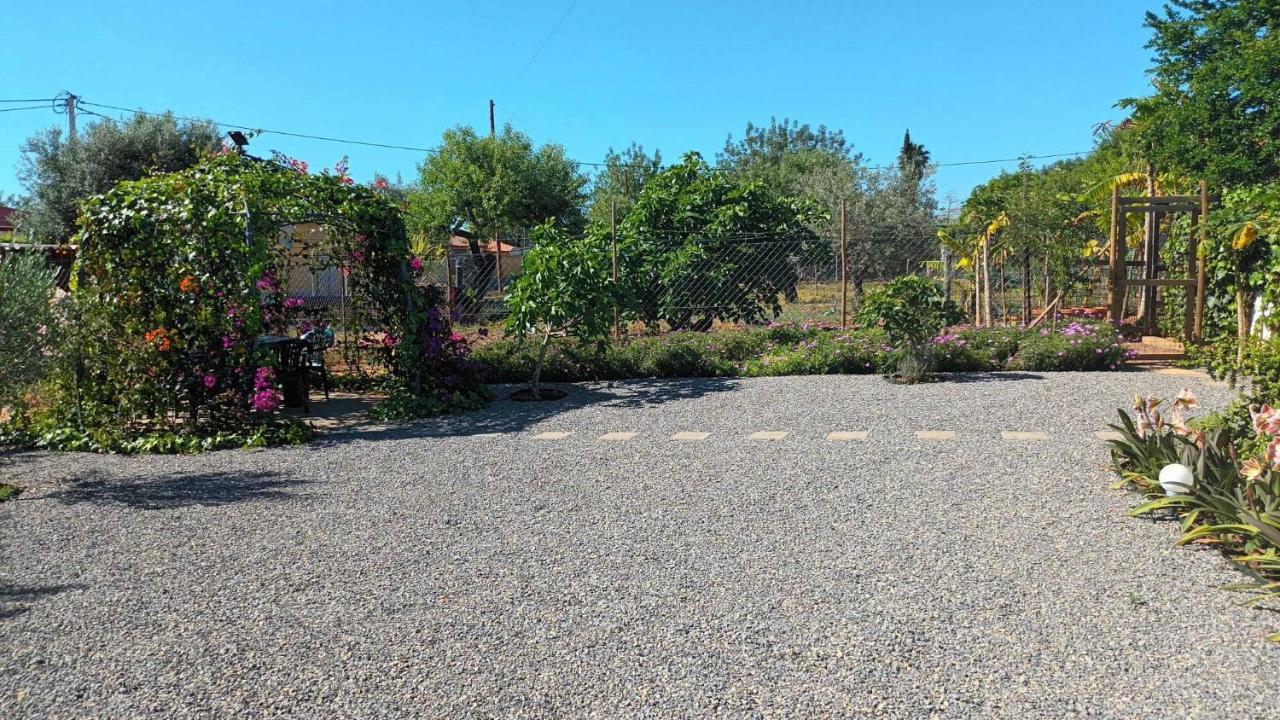 Adelino Guest House Olhão Екстериор снимка